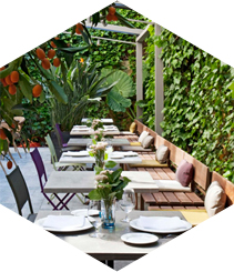 El restaurante Windsor inaugura su terraza-jardín